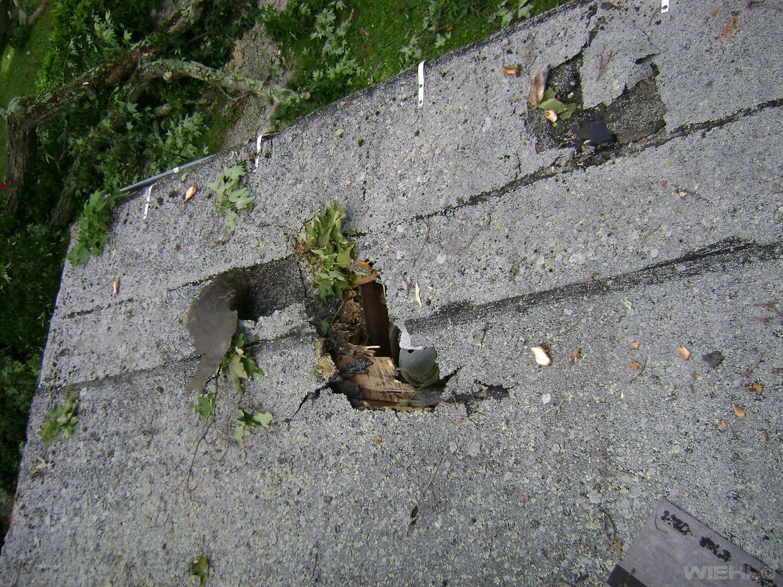 Photo 11