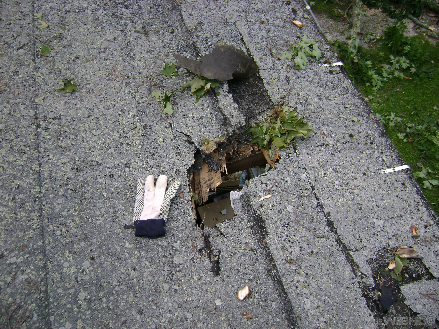 Photo 12